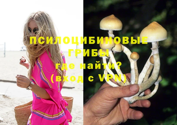 кокаин премиум Алзамай