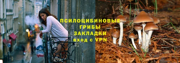 ПСИЛОЦИБИНОВЫЕ ГРИБЫ Горно-Алтайск
