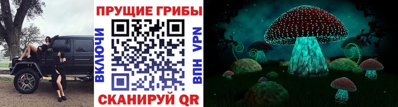 Галлюциногенные грибы MAGIC MUSHROOMS  купить наркоту  Шумиха 